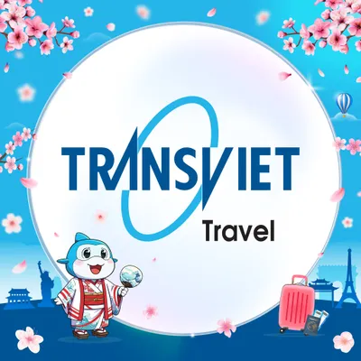 transviet.com.vn's icon