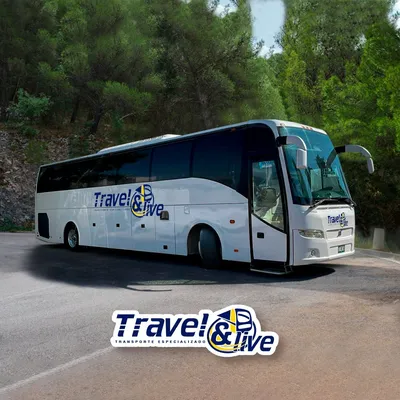 travelandlive.com.mx's icon