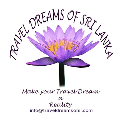 traveldreamsofsl.com's icon