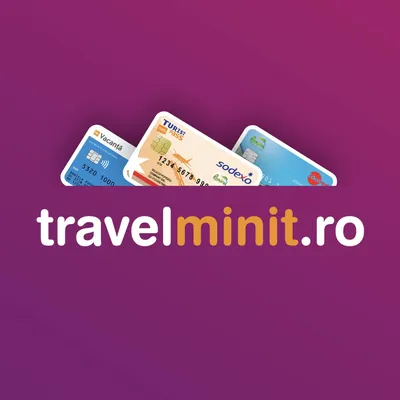 travelminit.com's icon