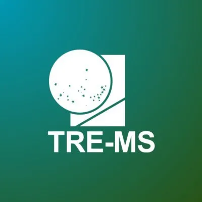 tre-ms.jus.br's icon
