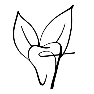 treedent.hr's icon