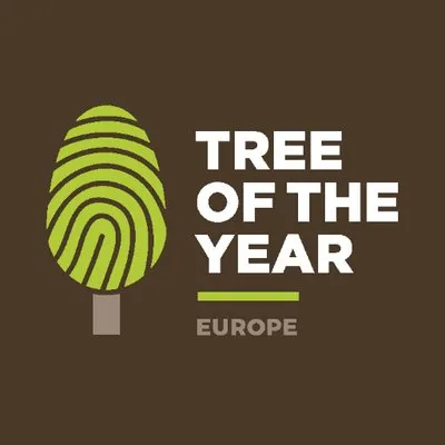 treeoftheyear.org's icon