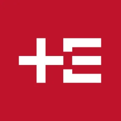 trianel.com's icon
