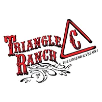 trianglec.com's icon
