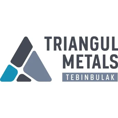 triangulmetals.com's icon