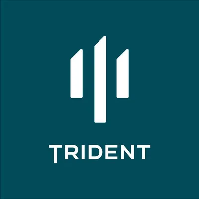 tridentair.com's icon