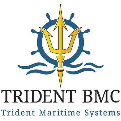 tridentbmc.com's icon