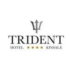 tridenthotel.com's icon