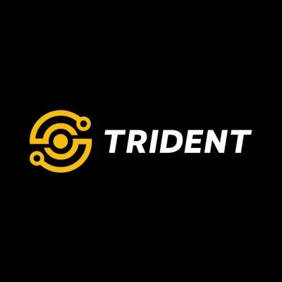 tridsys.com's icon