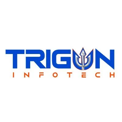 triguninfotech.com's icon