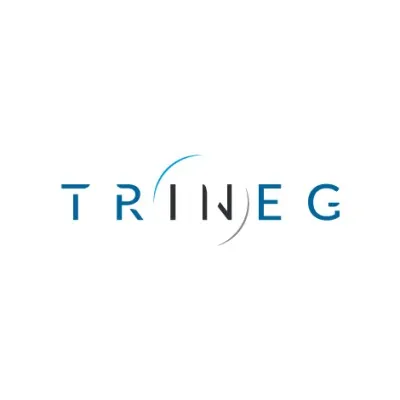 trineg.com's icon
