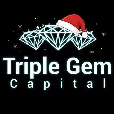 triplegem.capital's icon