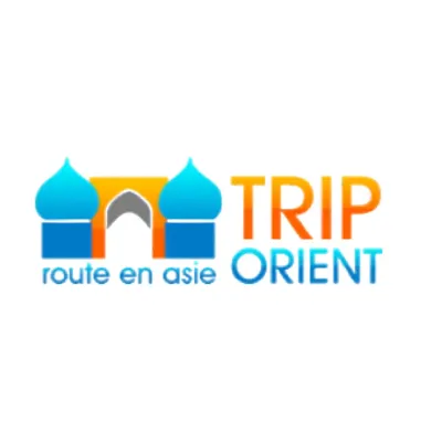 TripOrient's icon