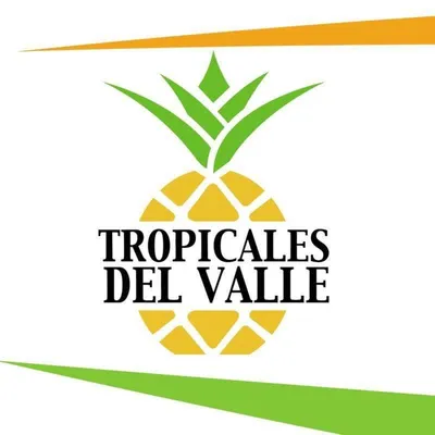 tropicalesdelvalle.com's icon
