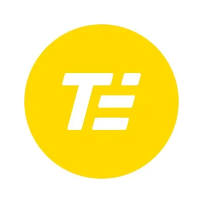 trueengineering.co's icon