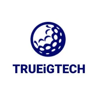 trueigtech.com's icon