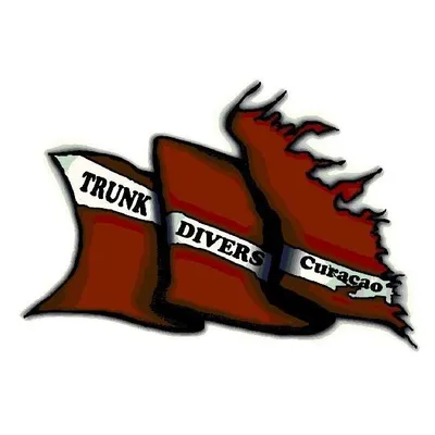 trunkdivers.com's icon