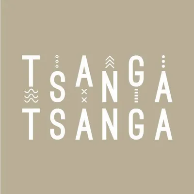 tsangatsangahotel.com's icon