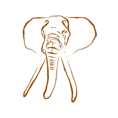 tsavotrust.org's icon