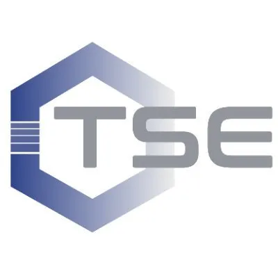 tseind.com's icon