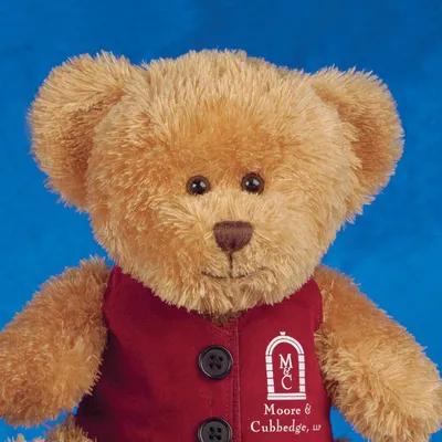 tshirtbears.com's icon