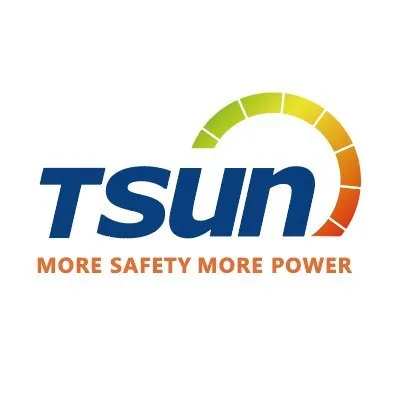 tsun-ess.com's icon