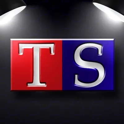 tswargames.com's icon