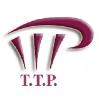 ttpeng.ir's icon