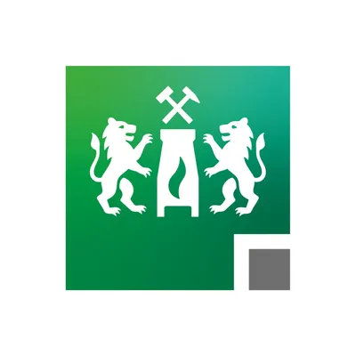tu-clausthal.de's icon