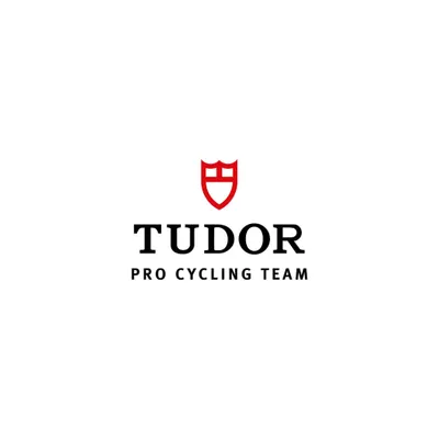 tudorprocycling.com's icon
