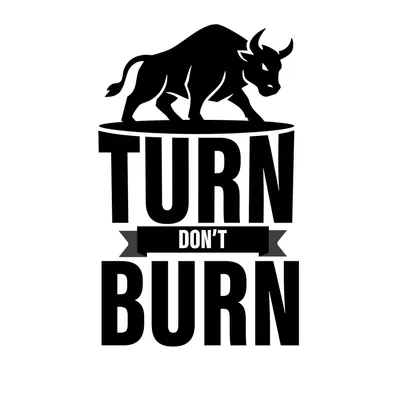 turndontburn.nl's icon