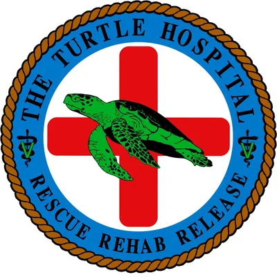turtlehospital.org's icon