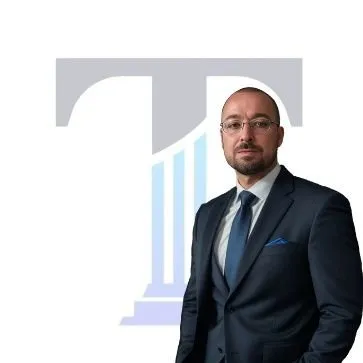 turzilawgroup.com's icon
