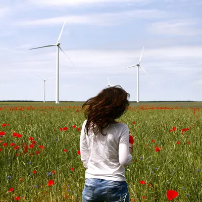 tuuleenergia.ee's icon