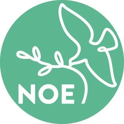 tvnoe.cz's icon