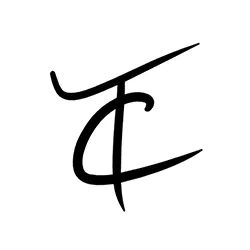 twincodehosting.com's icon