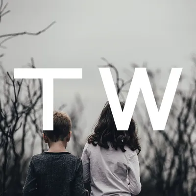 twinslatinfilms.com's icon