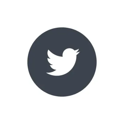 twivideo.info's icon
