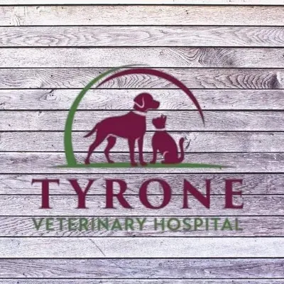 tyronevet.com's icon