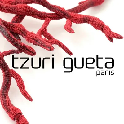 tzurigueta.com's icon