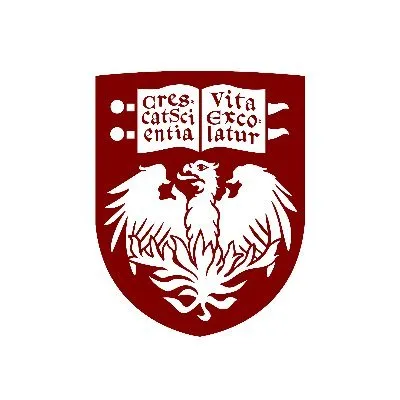 University of Chicago's icon