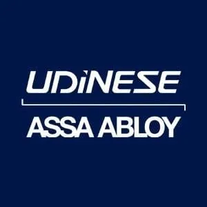 udinese.com.br's icon
