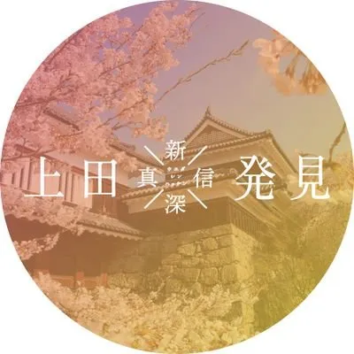 ueda-kanko.or.jp's icon