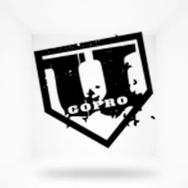 ugoprobaseball.com's icon