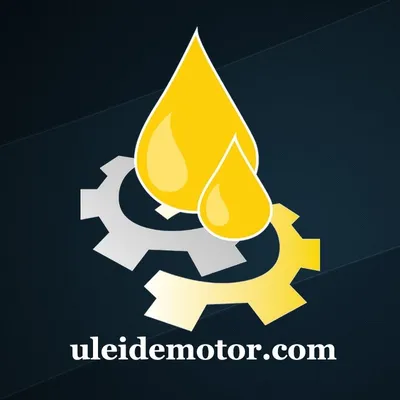 uleidemotor.com's icon