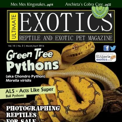 ultimateexotics.co.za's icon