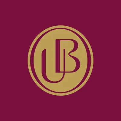 umbertobonomi.it's icon