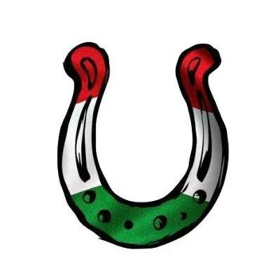 ungherianews.com's icon