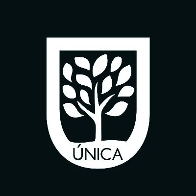 unica.edu.co's icon